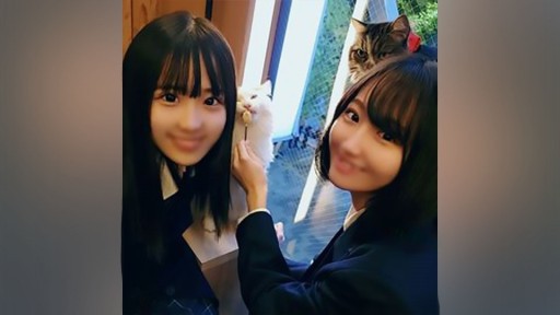 FC2PPV-2477518 정통파 미소녀의 여학생 2명을 밀실에 데리고 들어가 음란 음행・・・발전 도상의 순백한 신체에 3P생 질 내 사정!