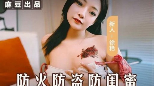 MSD-161 방화, 도난 방지 및 여자 친구 방지