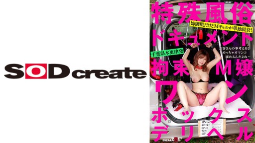 107SDHS-038 구속 M 양원 박스 데리 헬 동백 리카