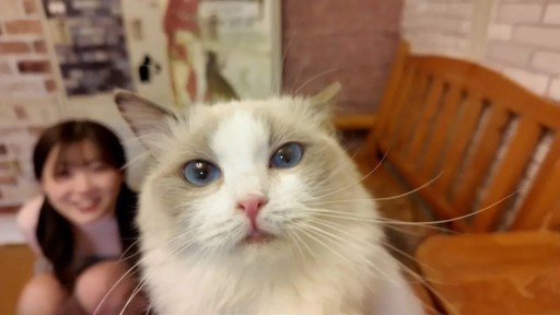 FC2PPV-4511406 너무 귀엽다 슈퍼 희귀 고양이 카페 데이트로 고양이에게 멜로 멜로 